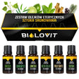 Bilovit Essential Oil Kit - The Art of Sauning