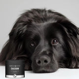 JM Sante Monovet Power Calcium Powder for Dogs and Cats - 120 g
