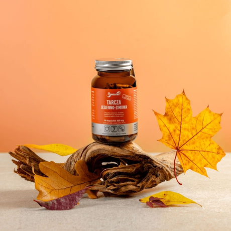 Panaseus Autumn-Winter Shield – 90 Capsules