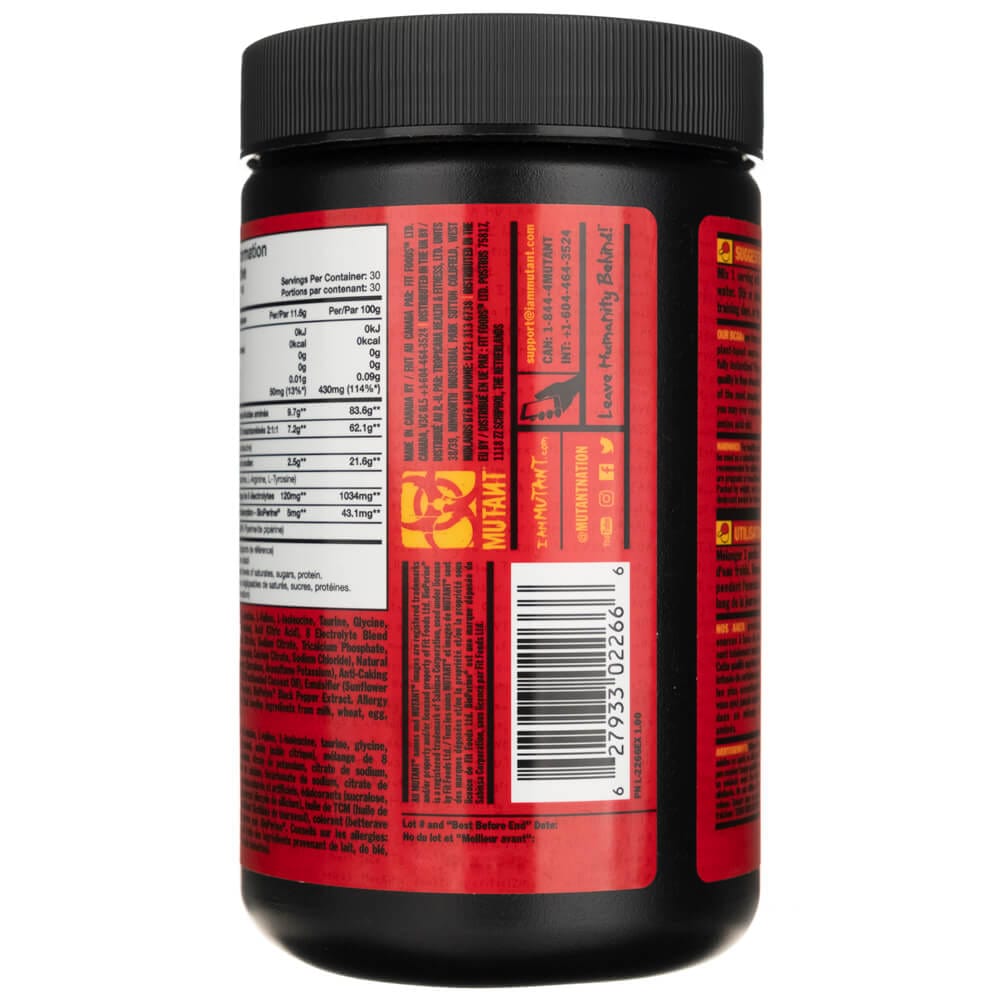 PVL BCAA 9.7, Fruit Punch - 348 g